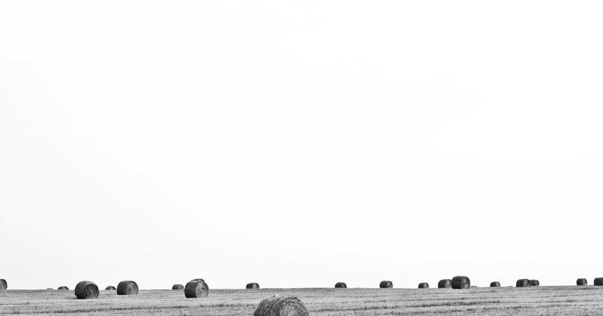 Vibrant Canada Day celebration with Canadian flags, fireworks, and diverse crowds in a major Canadian city
