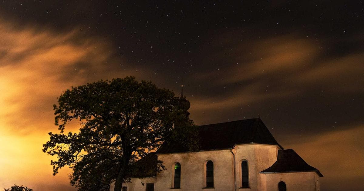 Professional networking and LinkedIn strategies for newcomers in Canada