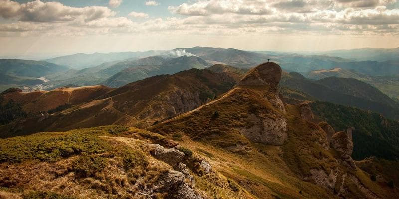Newcomer using Job Bank Canada career tools on a tablet device