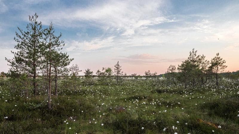 Atlantic Immigration Program (AIP): Your Path to Atlantic Canada