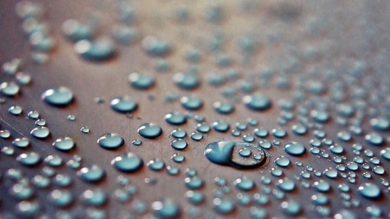 How to Find an Apartment and Rent in Canada as a Newcomer