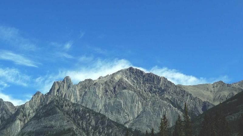 Grocery Shopping in Canada: How to Save Money as a Newcomer