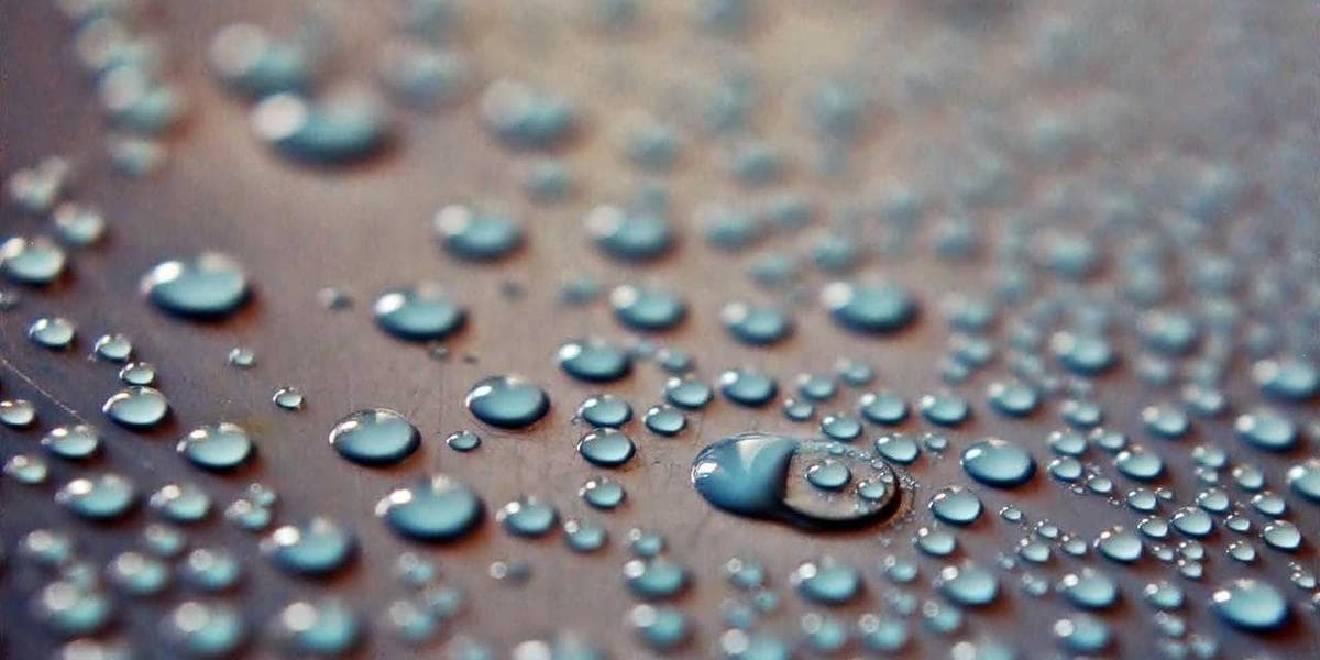 IMM 5562 Schedule A Background Declaration: How to Fill It Correctly - WelcomeAide guide for Canadian newcomers