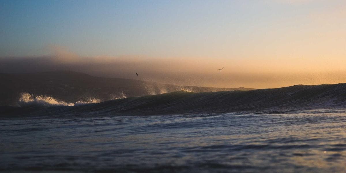 IMM 0008 Generic Application Form for Canada: How to Fill It Out - WelcomeAide guide for Canadian newcomers