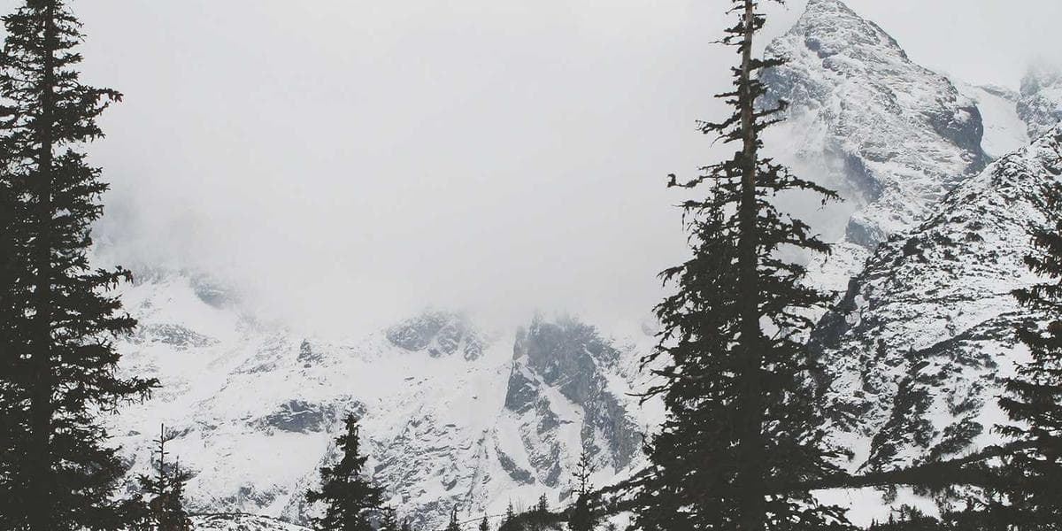 Canadian Labour Law: Know Your Rights as an Immigrant Worker - WelcomeAide guide for Canadian newcomers