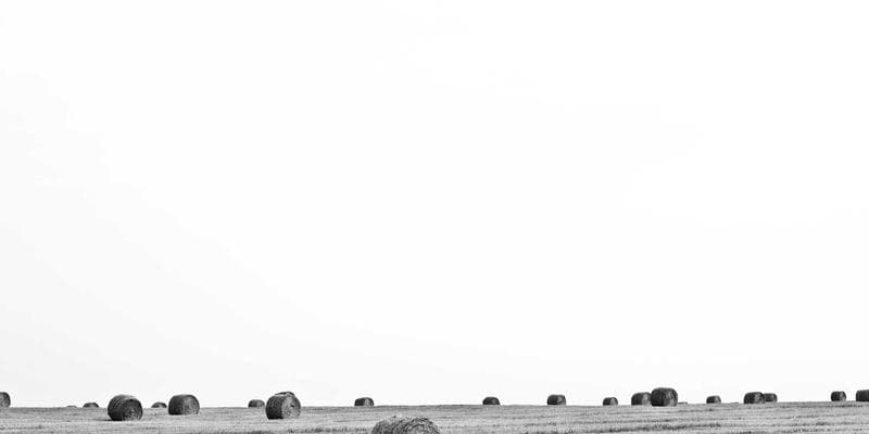 Newcomer couple looking at a house with a real estate agent, smiling and holding keys