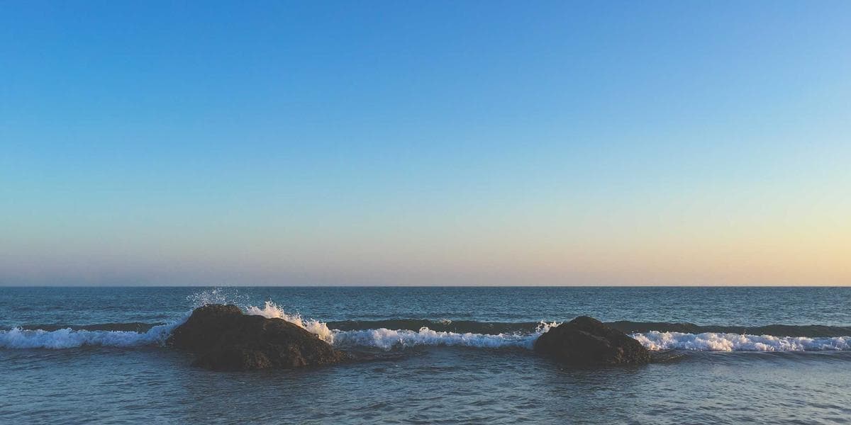 T4E Statement of Employment Insurance Benefits: Tax Guide for Newcomers - WelcomeAide guide for Canadian newcomers