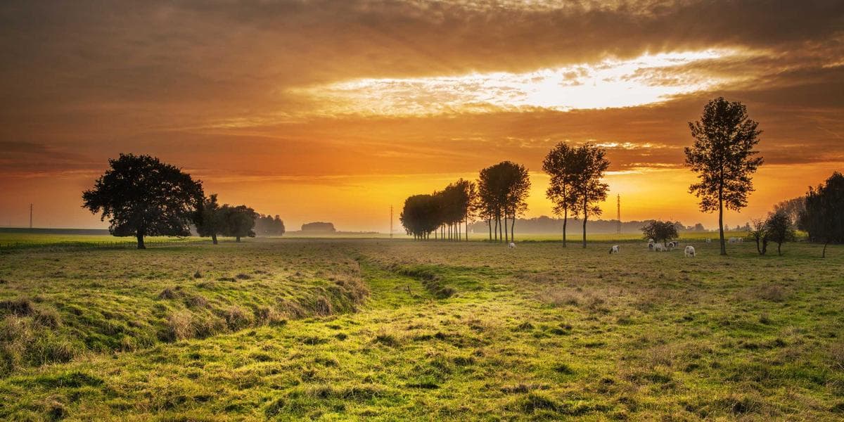 Building Credit in Canada as a Newcomer: Step-by-Step 2026 Guide - WelcomeAide guide for Canadian newcomers