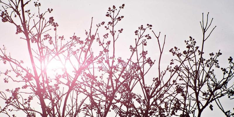 Children learning sailing and water activities at Toronto Harbourfront Centre summer camp