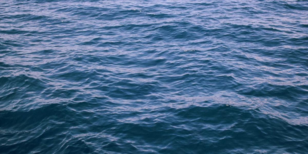 Welcoming public library interior with diverse community members browsing books and using computers