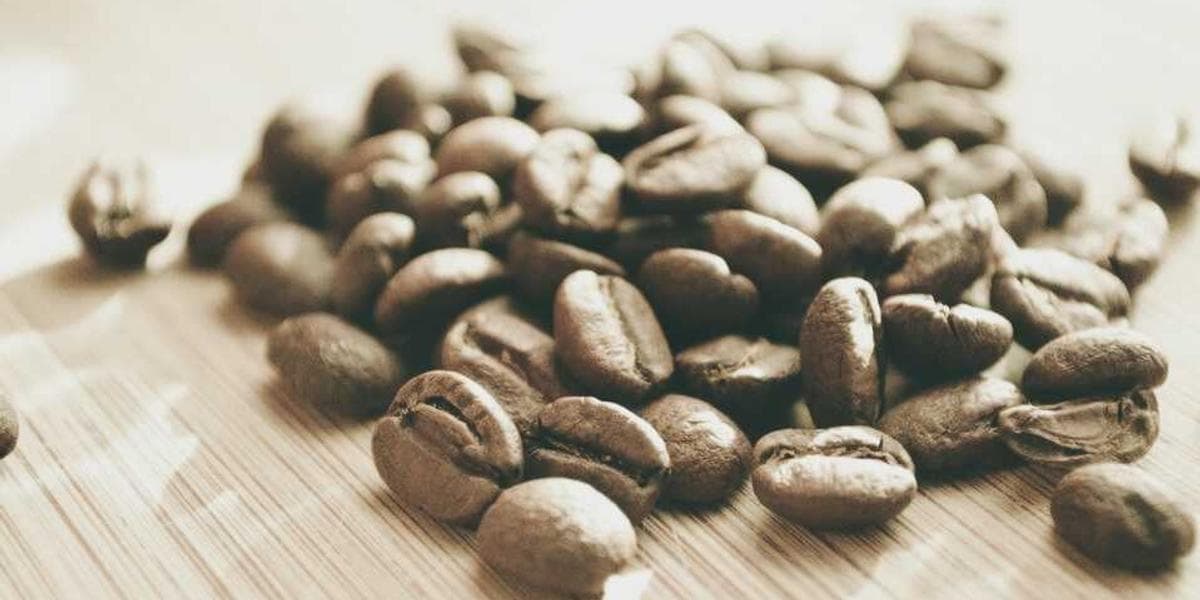 Newcomer entrepreneur working on business plans in a modern Canadian co-working space