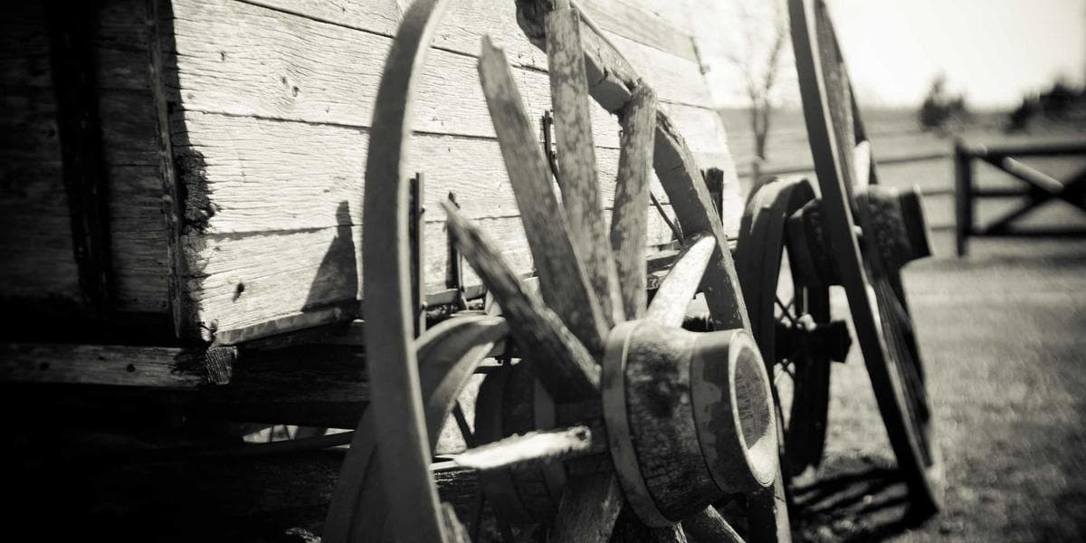 Volunteers organizing fresh produce and groceries at a Canadian food bank