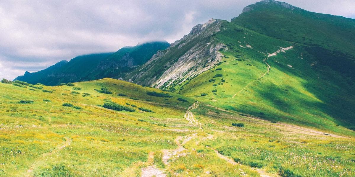 A diverse group of volunteers sorting food donations at a community food bank in Canada