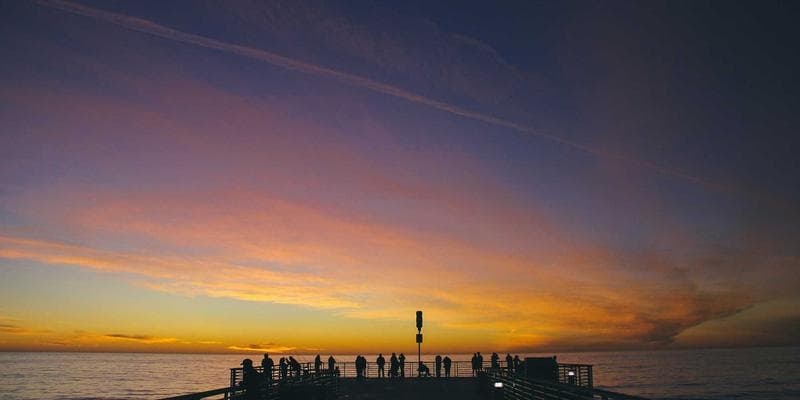 Canadian Remembrance Day ceremony with red poppy wreaths and veterans