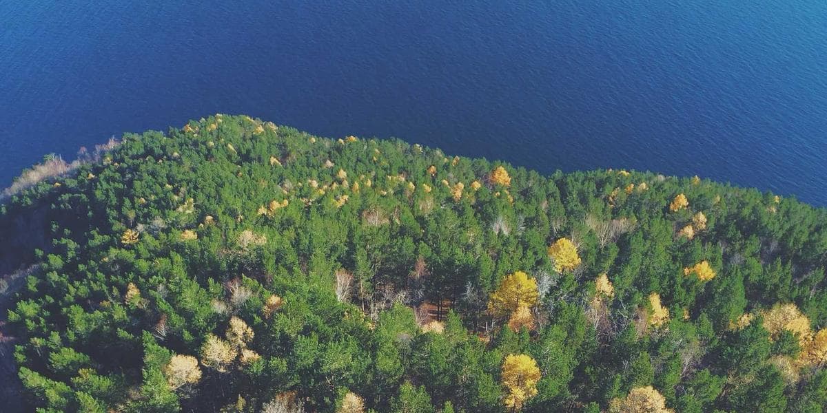 Abbotsford, British Columbia cityscape for newcomers