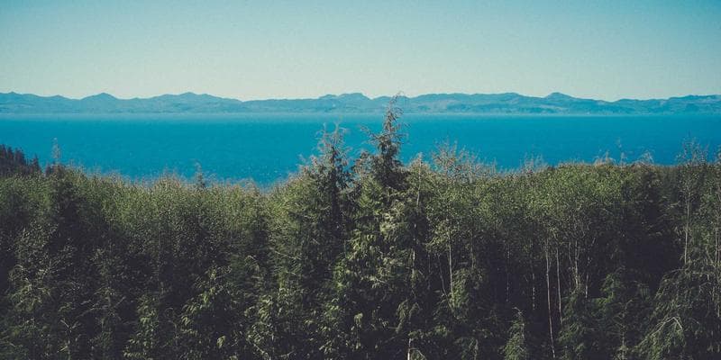 Newcomer reviewing educational documents and online application forms