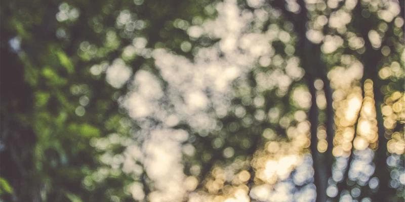Person carefully reviewing documents and a checklist, symbolizing meticulous form filling