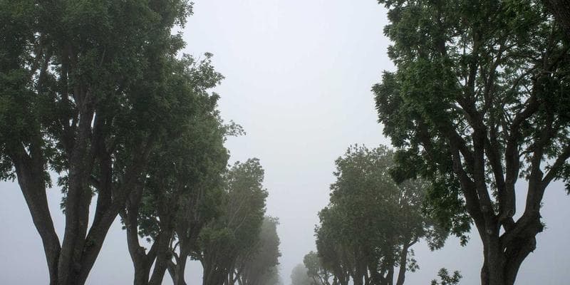 Diverse group of newcomers attending a financial literacy workshop, taking notes and asking questions