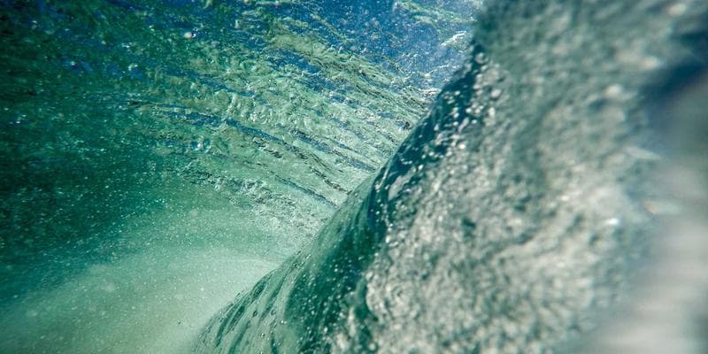 Close-up of a calculator and Canadian coins, representing financial calculations for RDSP grants and bonds.