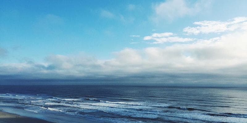Two diverse individuals having a friendly conversation in a park, symbolizing connection and integration