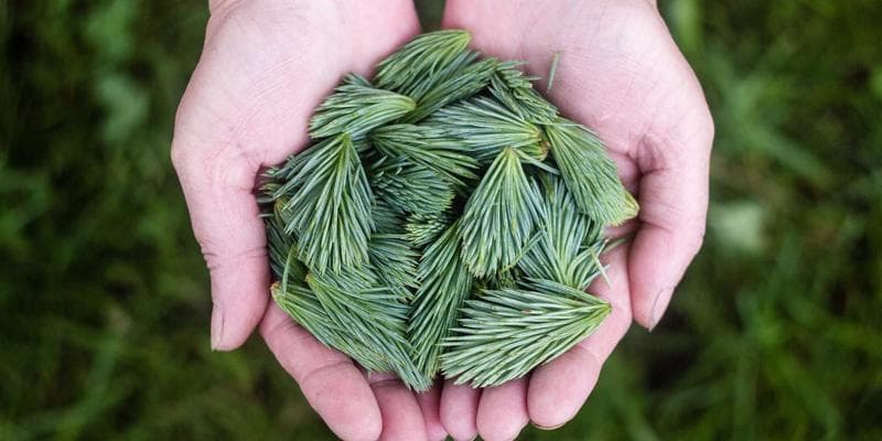 Family embracing a caregiver in a home setting