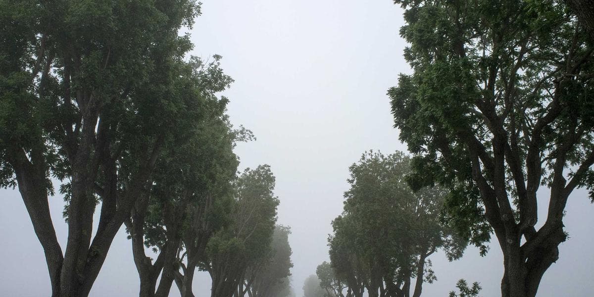 Truro, Nova Scotia cityscape for newcomers