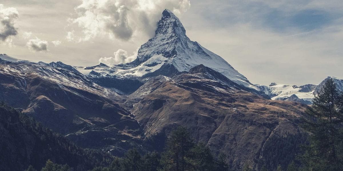 A medical laboratory technologist analyzing samples in a Canadian hospital laboratory