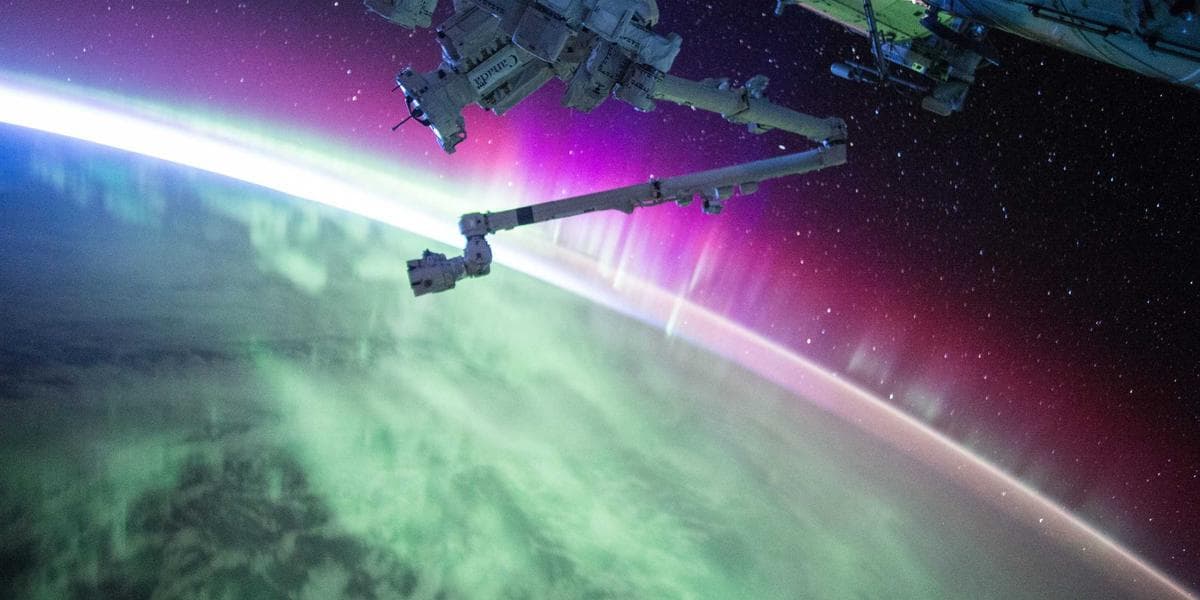 Canadian employer reviewing LMIA application documents at office desk