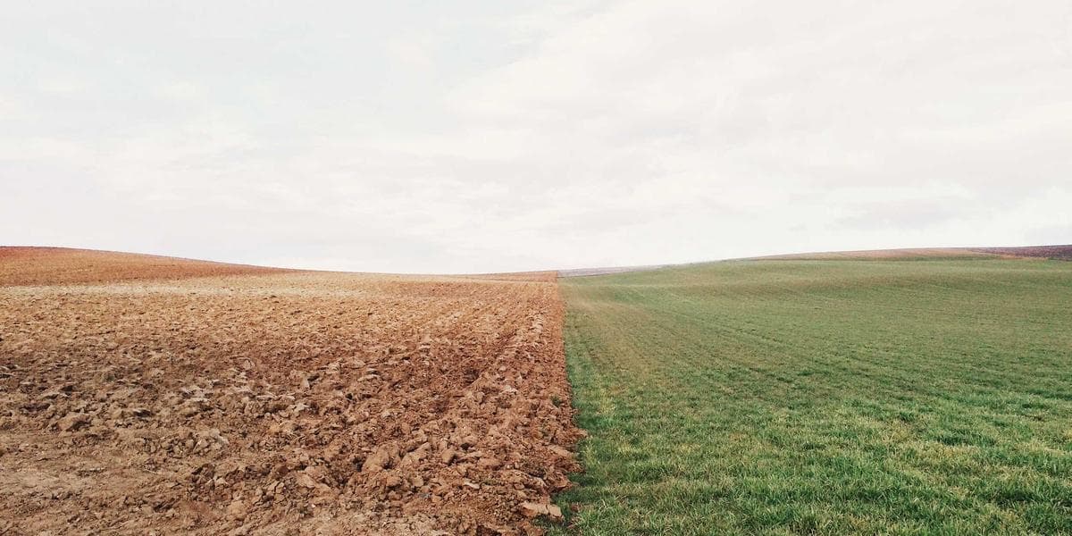 Newcomer speaking with mental health counsellor in welcoming Canadian clinic
