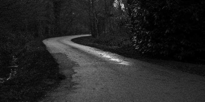 Newcomer optimizing LinkedIn profile on laptop for Canadian job market networking