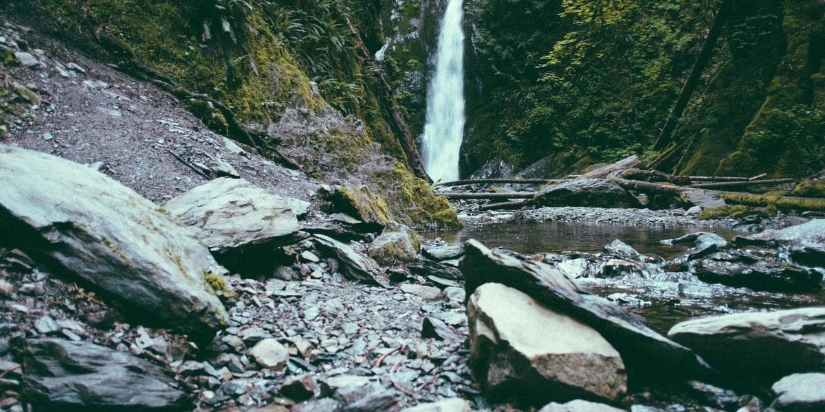 Pride flag displayed alongside Canadian flag representing LGBTQ+ newcomer welcome