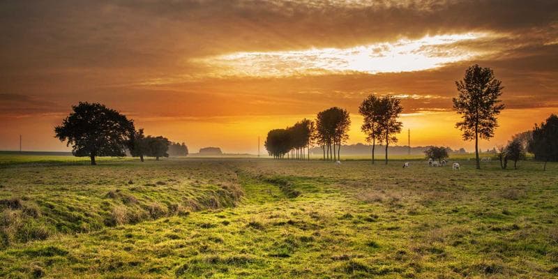 Teacher working with newcomer student in Canadian elementary school classroom
