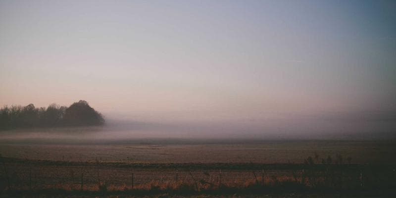 Elderly parents arriving in Canada welcomed by their sponsoring adult child