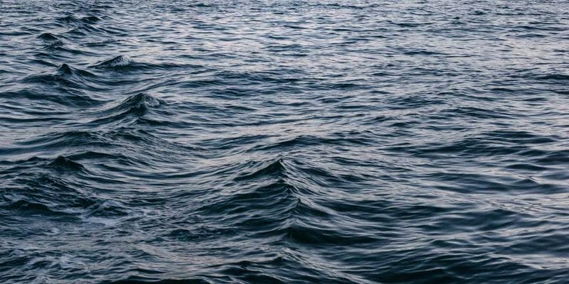 Group of newcomers in digital literacy class learning computer skills together