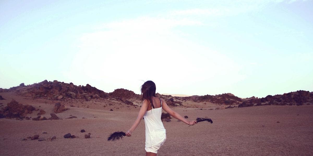 Newcomer professionals attending Canadian professional association conference