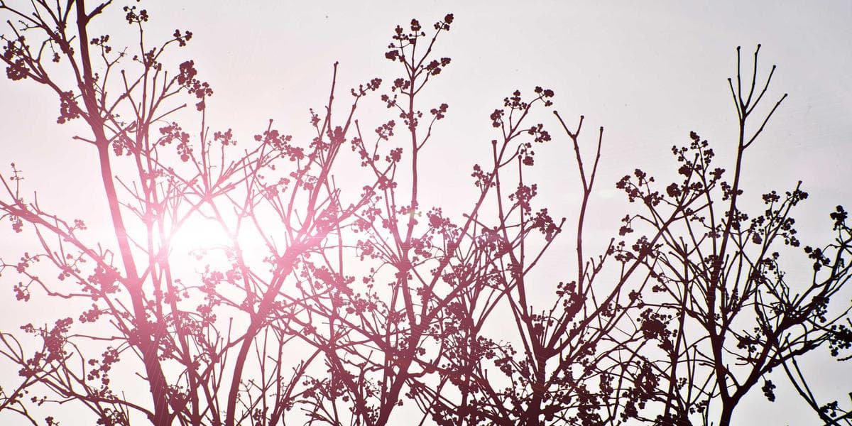 Construction workers on Canadian building site with safety equipment