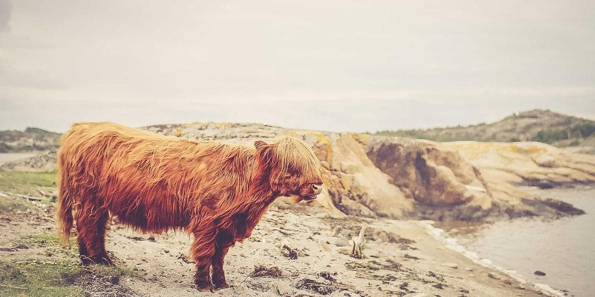Newcomer registering for Alberta health card at registry