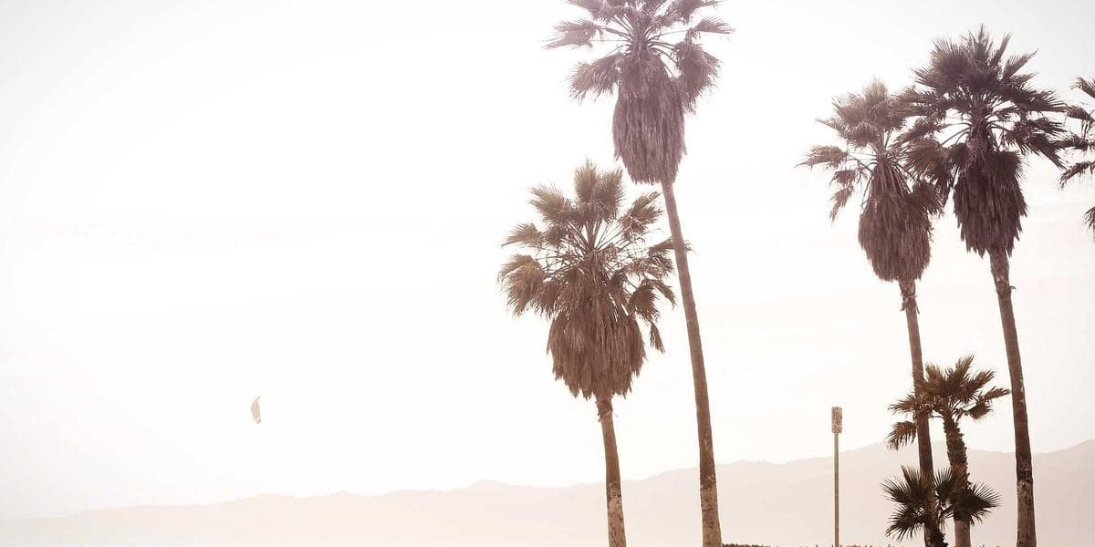 Toronto TTC subway train arriving at station with commuters waiting