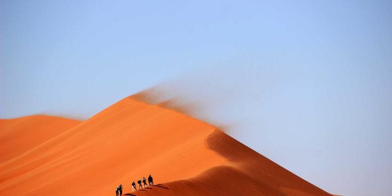 Ottawa transit card and route map for newcomers