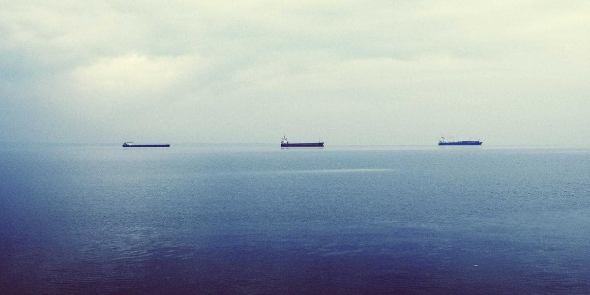 Newcomer children playing at Canadian school playground with friends