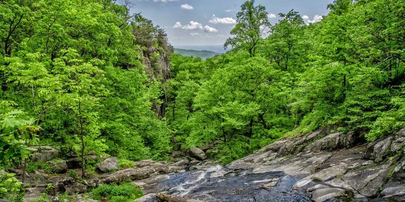 Diverse group of newcomers practising English conversation