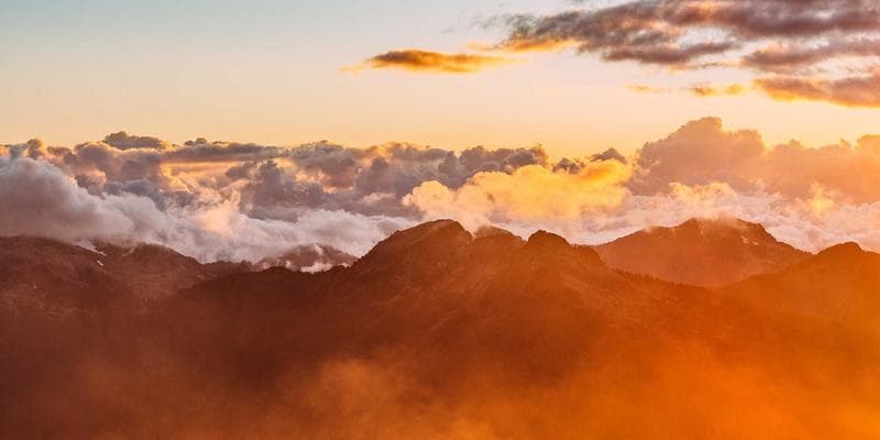 Emergency alert on smartphone and family safety plan