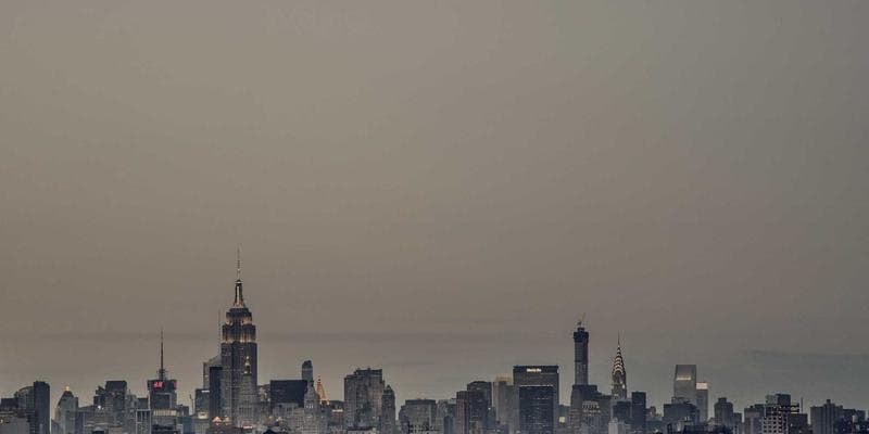 Employee reviewing their pay stub on a computer screen