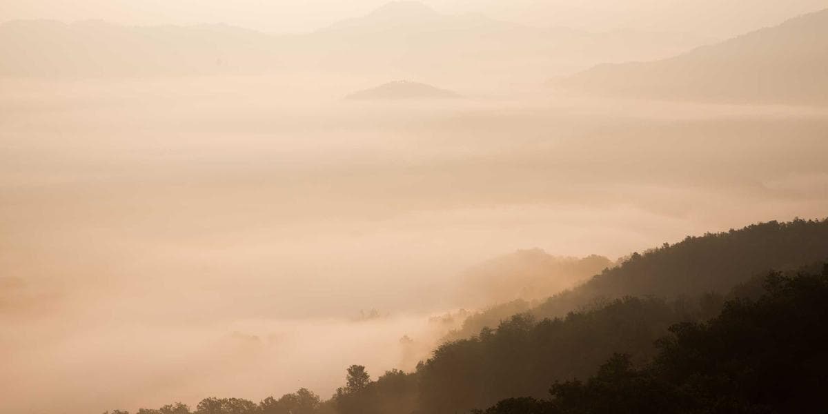 Foreign-trained professional attending a bridging program class in Canada