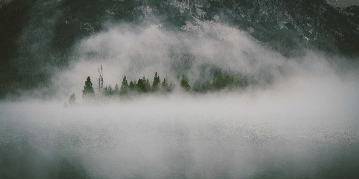 Canadian Armed Forces members in uniform representing military career opportunities