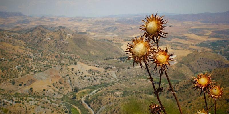 International graduate at a Nova Scotia university convocation ceremony