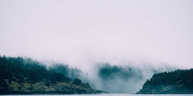Union workers on a picket line during a Canadian labour dispute