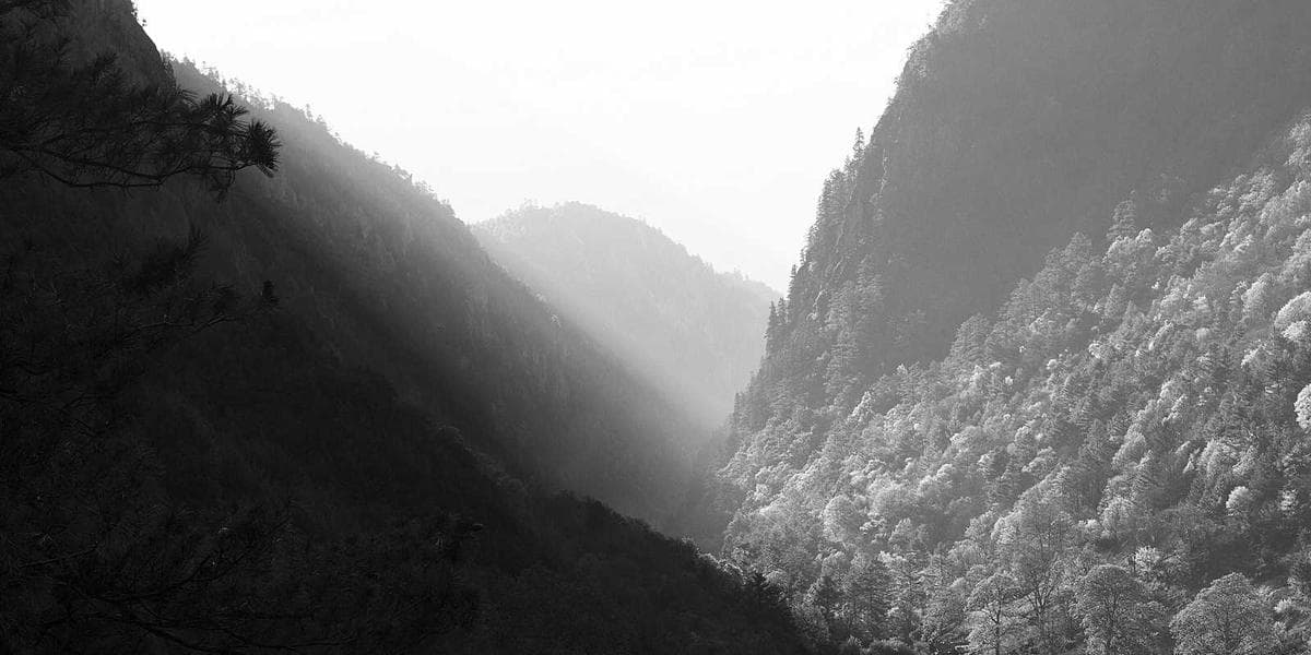 Colourful festival crowd enjoying live music at an outdoor Canadian event