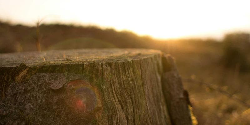 Orange shirts displayed for Truth and Reconciliation Day