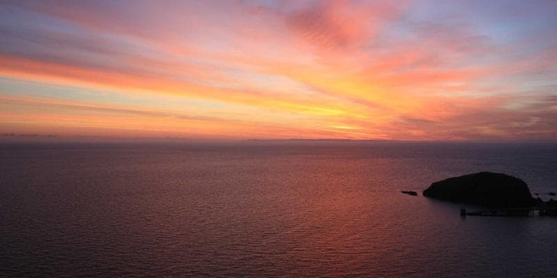 Person reviewing legal documents about power of attorney